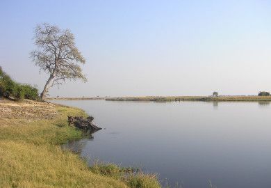 Chobe Botswana safari