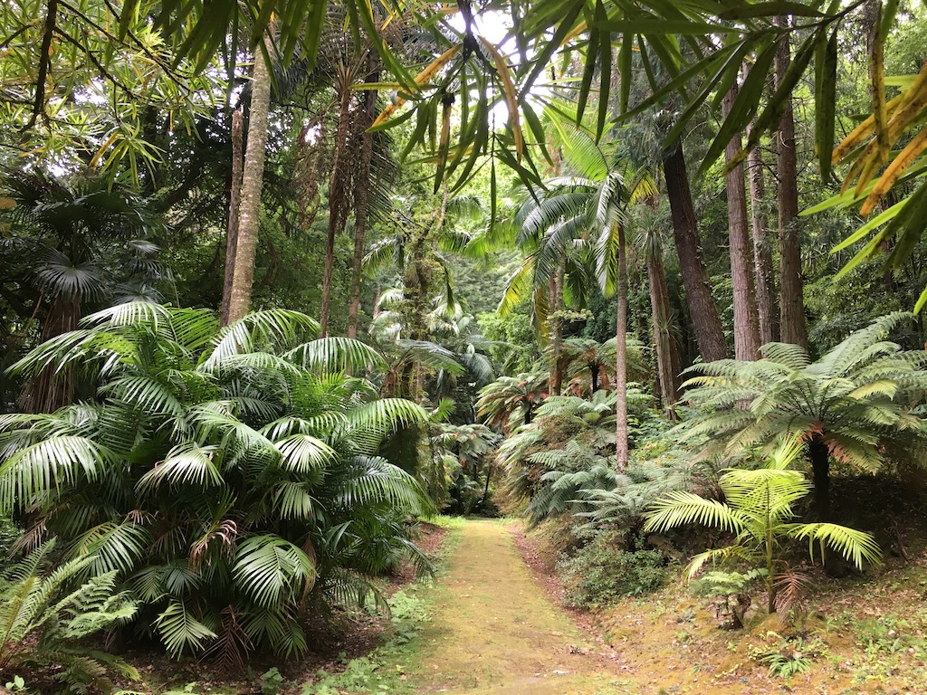 Viajar a Azores
