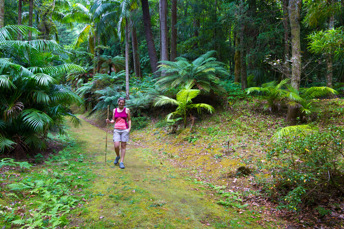 sao Miguel azores