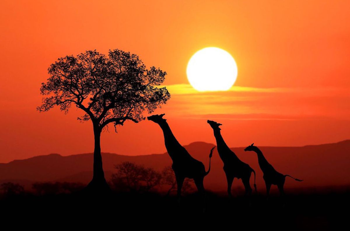 Sudáfrica