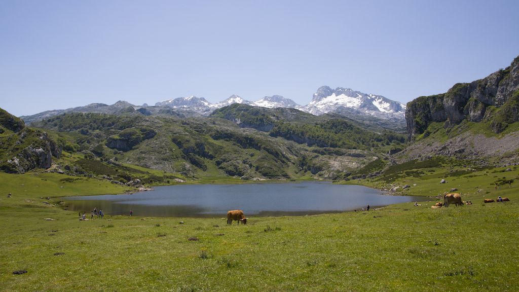 lagos de covadonga