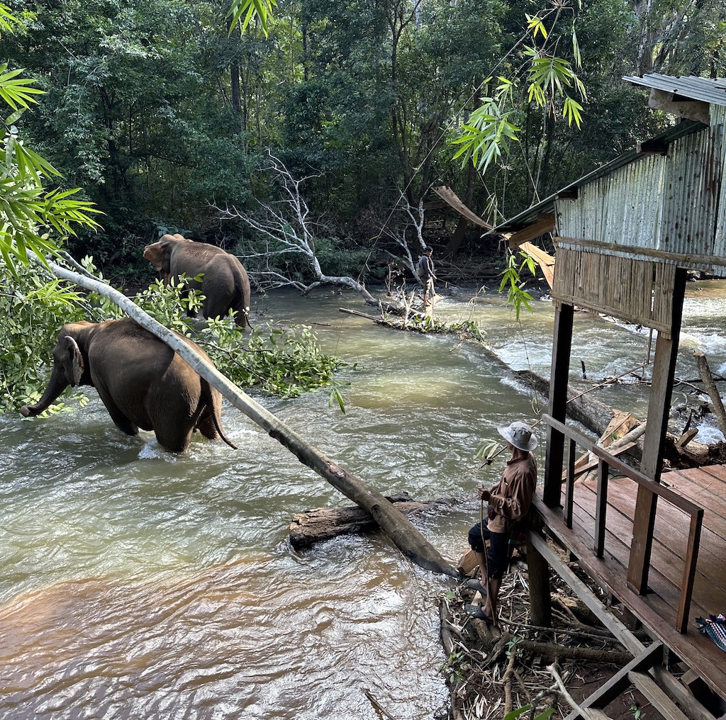 viajar a Camboya